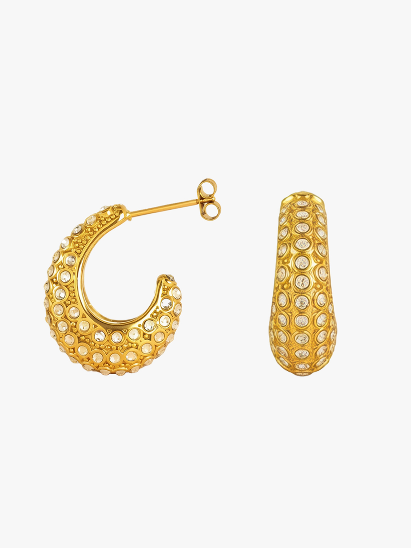 Arlinda Drop Stone Earrings - Gold Plated